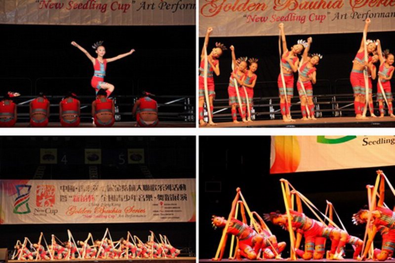 海南黎族舞蹈织之织