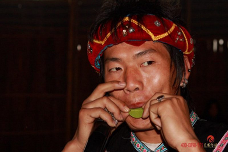 海南黎族吹树叶