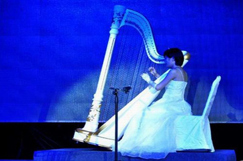 海南海口竖琴表演