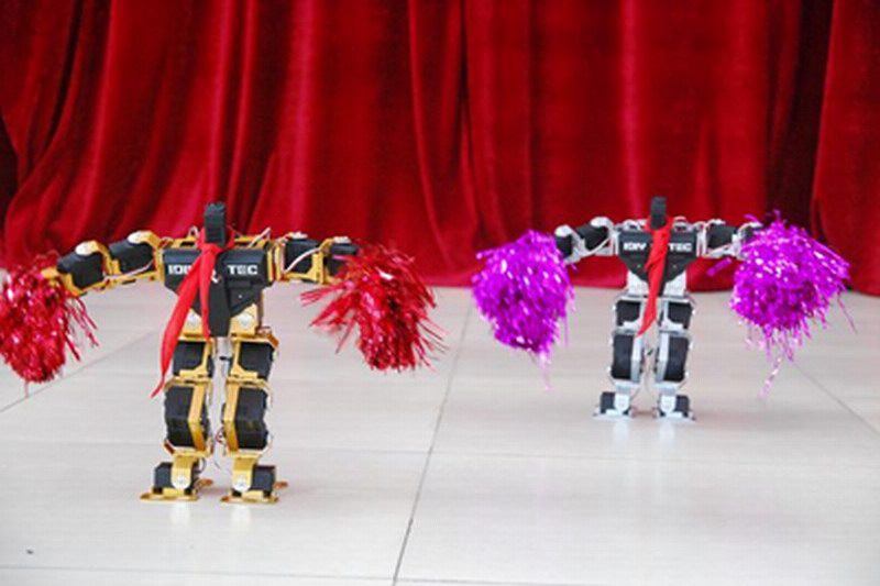 海南海口三亚机器人表演提供